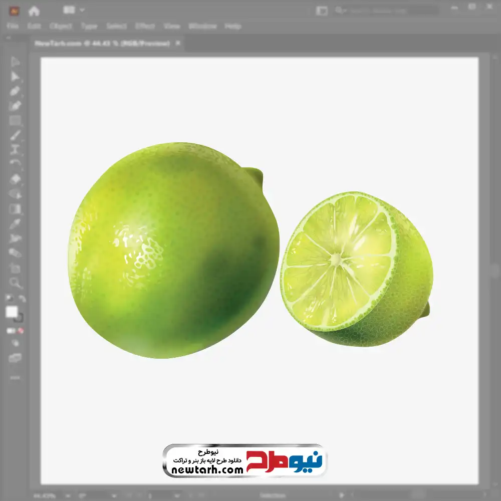 دانلود فایل وکتور لیمو ترش سبز فایل وکتور لیمو ترش سبز با فرمت eps