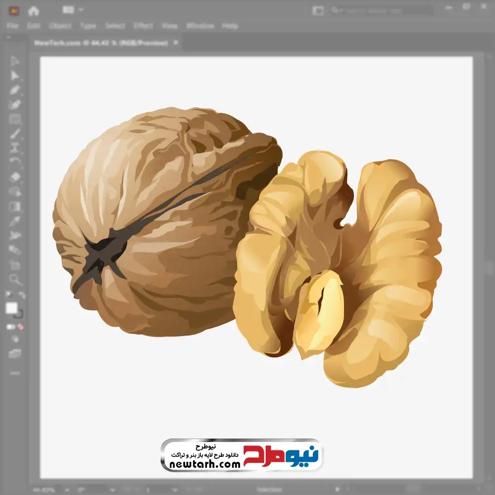 دانلود فایل وکتور گردو فایل وکتور گردو با فرمت eps