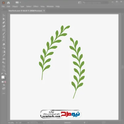 تصویر وکتوری برگ زیتون با فرمت eps