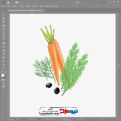 تصویر وکتوری هویج و زیتون با فرمت eps