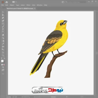 فایل وکتور پرنده اوریول طلایی با فرمت eps