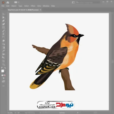 تصویر پرنده نشسته روی شاخه با فرمت eps