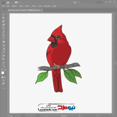 فایل وکتور پرنده کاردینال قرمز با فرمت eps