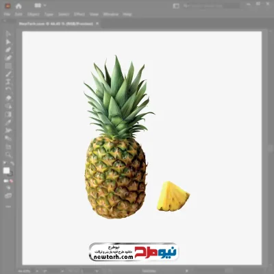 فایل وکتوری آناناس با فرمت eps