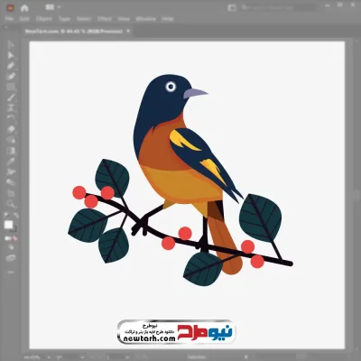 تصویر وکتوری پرنده اوریول بالتیمور با فرمت eps