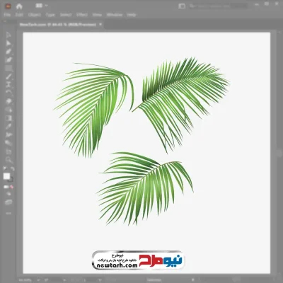 فایل وکتور برگ درخت نارگیل با فرمت eps