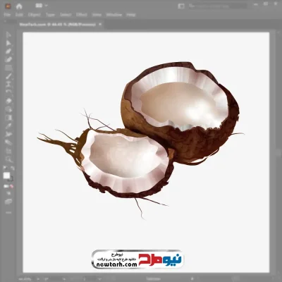 فایل وکتور نارگیل شکسته با فرمت eps