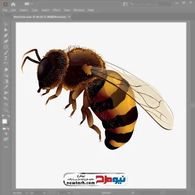 وکتور زنبور عسل با فرمت eps