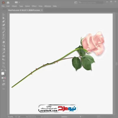 فایل وکتور شاخه گل رز صورتی با فرمت eps