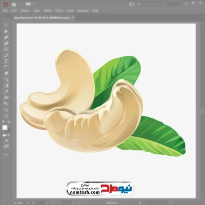فایل وکتور بادام هندی با فرمت eps