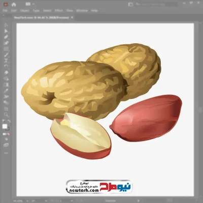 فایل وکتور بادام زمینی با فرمت eps