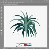 فایل وکتور گیاه آگاوه