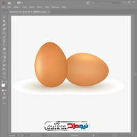 عکس وکتوری تخم مرغ
