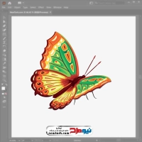 تصویر وکتوری پروانه خوشرنگ