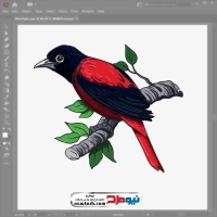 تصویر وکتوری پرنده اوریول مارون قرمز