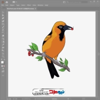 فایل وکتور پرنده اوریول نارنجی