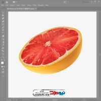 فایل وکتور برش گریپ فروت
