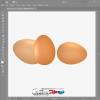 فایل وکتوری تخم مرغ
