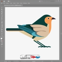 فایل وکتوری پرنده رنگارنگ