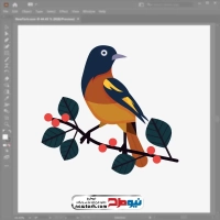 تصویر وکتوری پرنده اوریول بالتیمور