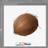 تصویر وکتوری نارگیل