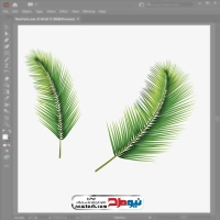 تصویر وکتور برگ درخت نارگیل