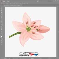 تصویر وکتور گل سوسن صورتی