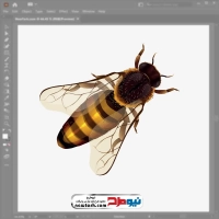 دانلود فایل وکتور زنبور عسل