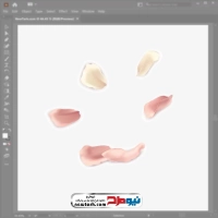 فایل وکتور گلبرگ صورتی