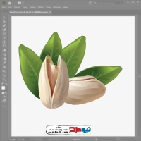 فایل وکتور پسته