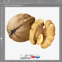 فایل وکتور گردو