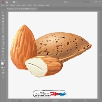 فایل وکتور بادام